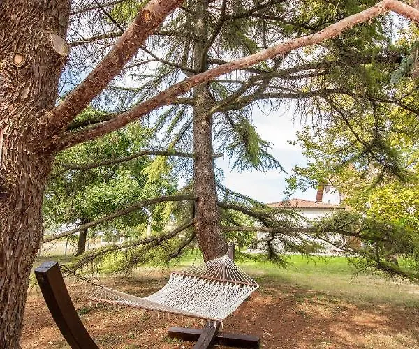 La Selva Apartmán *
